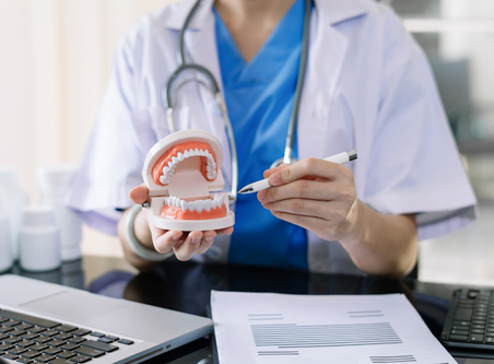 Profesional señalando una maqueta dental para tratamientos especializados